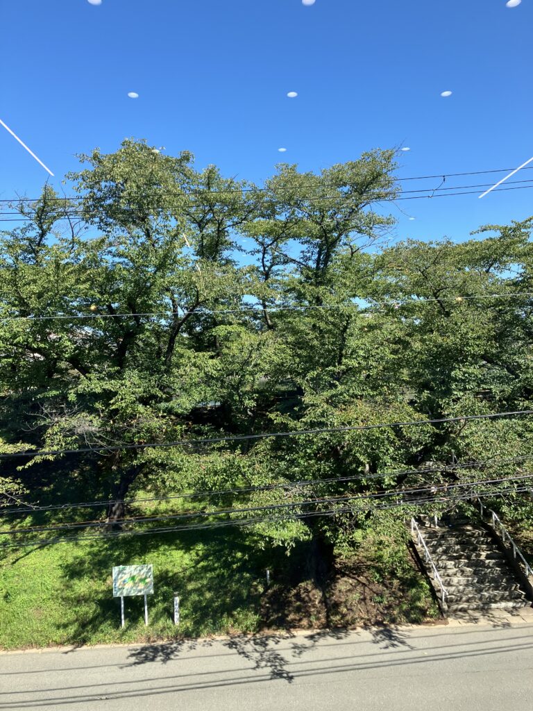 現在の画像に代替テキストがありません。ファイル名: IMG_2610-scaled.jpg