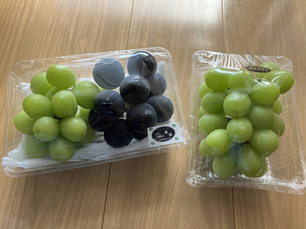 現在の画像に代替テキストがありません。ファイル名: IMG_2622-scaled.jpg