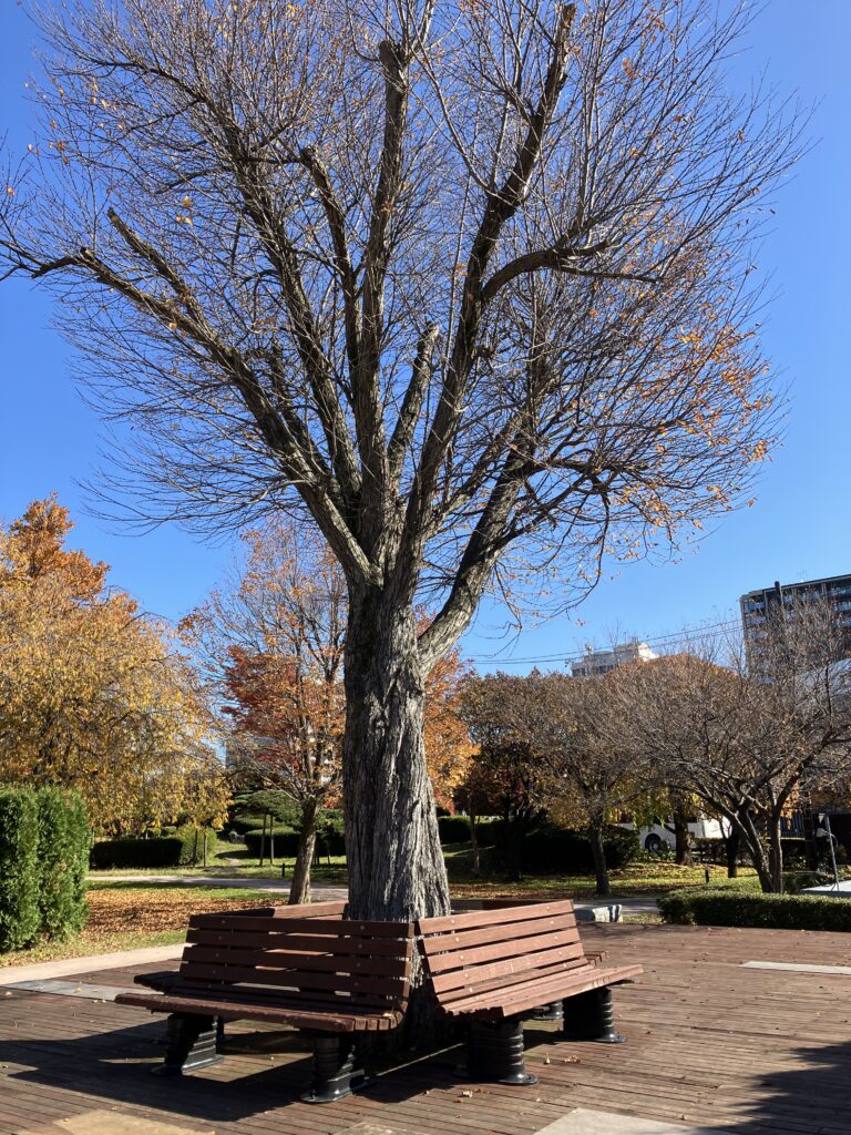 現在の画像に代替テキストがありません。ファイル名: IMG_2698-scaled.jpg