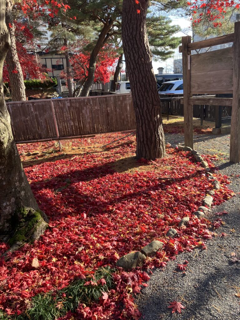 現在の画像に代替テキストがありません。ファイル名: IMG_2720-scaled.jpg