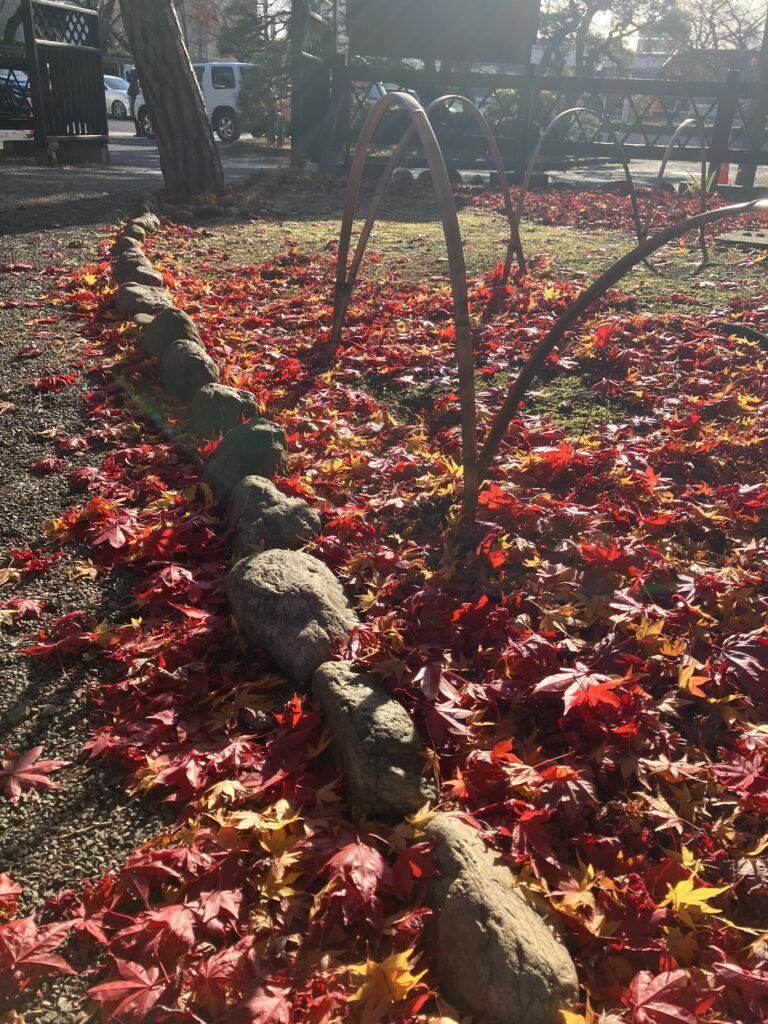 現在の画像に代替テキストがありません。ファイル名: IMG_2725-scaled.jpg