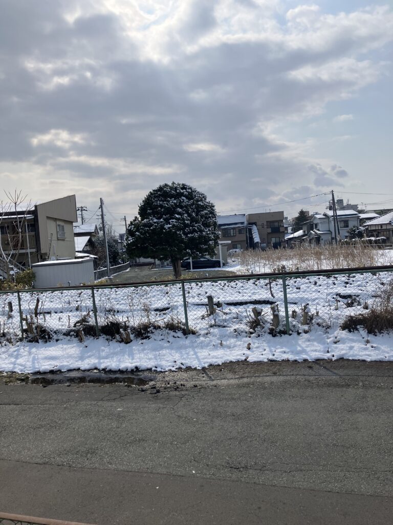 現在の画像に代替テキストがありません。ファイル名: IMG_2900-scaled.jpg