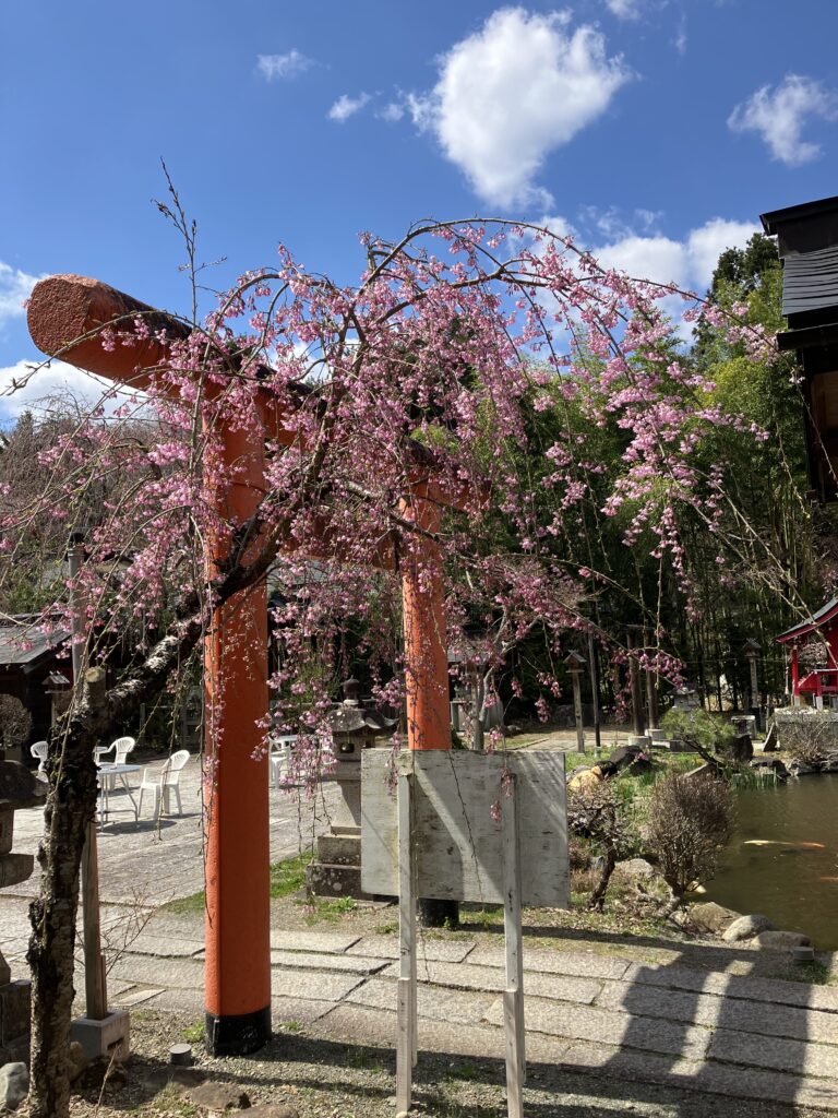 現在の画像に代替テキストがありません。ファイル名: IMG_2926-scaled.jpg