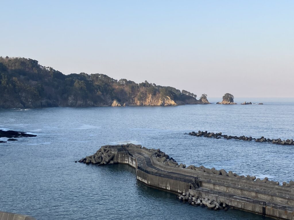 現在の画像に代替テキストがありません。ファイル名: IMG_2940-scaled.jpg