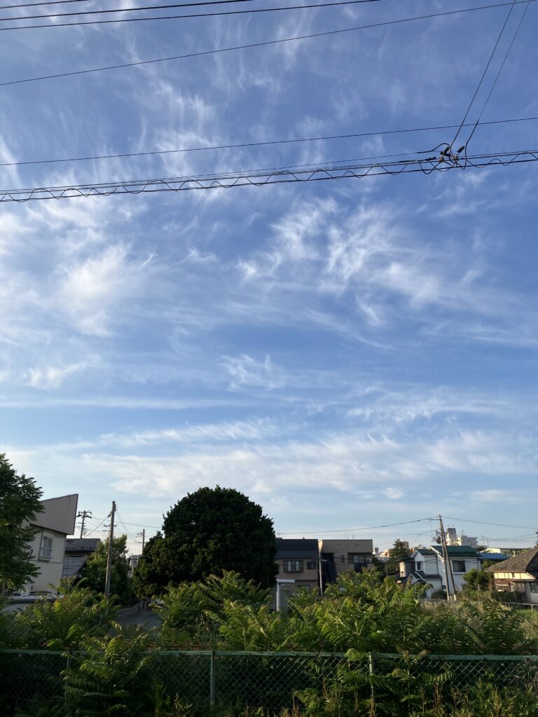 現在の画像に代替テキストがありません。ファイル名: IMG_3024-scaled.jpg